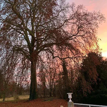 Guest house Chateau De