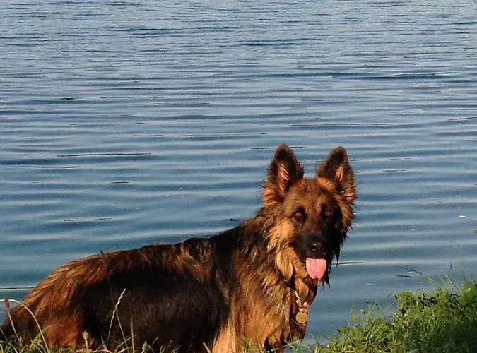 Guest house Chateau De Juvigny (Marne)